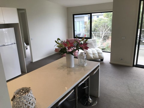 Lorne Sea View Terrace House - Great Ocean Road Tourism 43