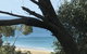 Lorne Sea View Terrace House - thumb 12