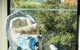 Lorne Sea View Terrace House - thumb 6