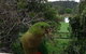 Australian Home Away @ Wonga Park Brushy Creek - thumb 18
