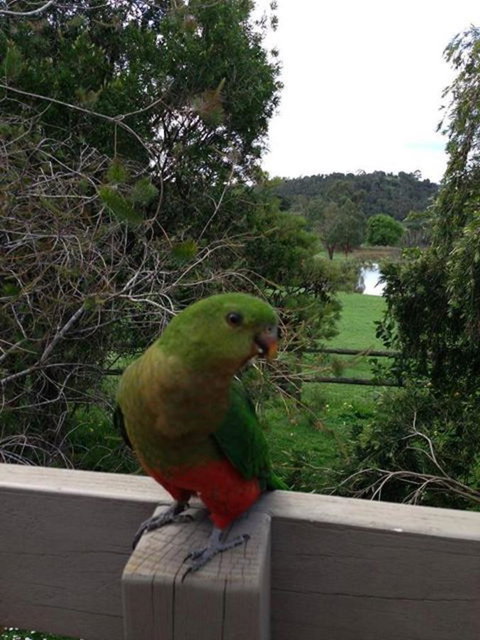 Australian Home Away @ Wonga Park Brushy Creek - Great Ocean Road Tourism 18
