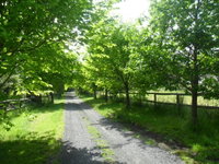 Book Wonga Park Accommodation Vacations Great Ocean Road Tourism Great Ocean Road Tourism