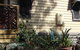 Australian Home Away @ Wonga Park Brushy Creek - thumb 14