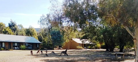 Grampians Pomonal Cottages - Great Ocean Road Tourism 6
