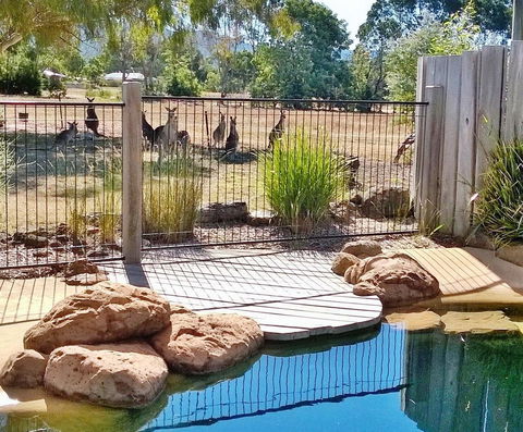 Grampians Pomonal Cottages - Great Ocean Road Tourism 24