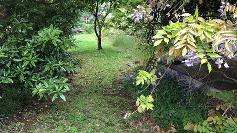 Lorelei Bed & Breakfast - Great Ocean Road Tourism 10