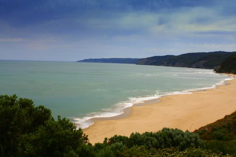 Johanna Seaside Cottages - Great Ocean Road Tourism 28