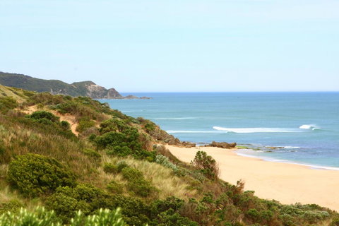 Johanna Seaside Cottages - Great Ocean Road Tourism 27