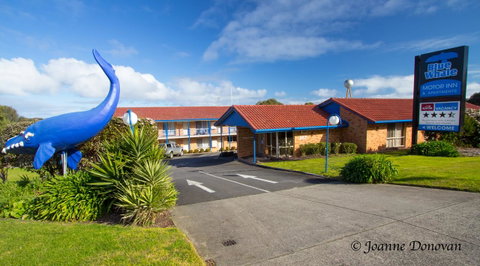 Blue Whale Motor Inn & Apartments - Great Ocean Road Tourism 0