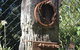 Cottage 4A - thumb 14