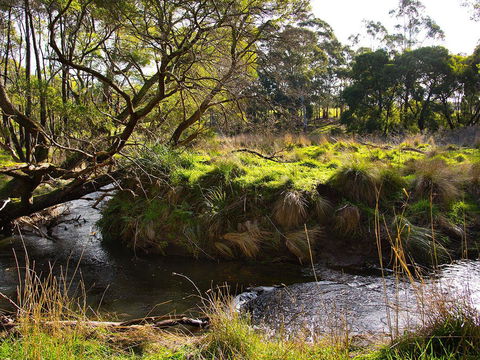 Green Gully House - Great Ocean Road Tourism 5