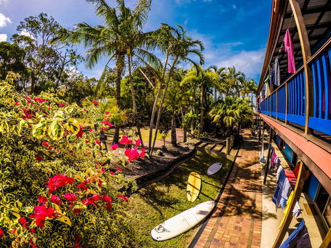 Cool Bananas Backpackers - Great Ocean Road Tourism 17