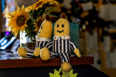 Cool Bananas Backpackers - Great Ocean Road Tourism 30