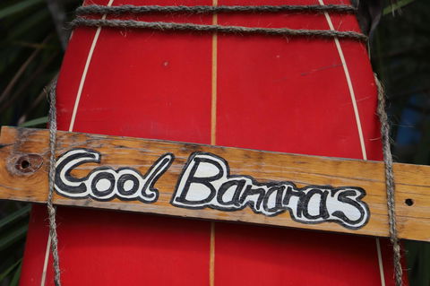 Cool Bananas Backpackers - Great Ocean Road Tourism 41
