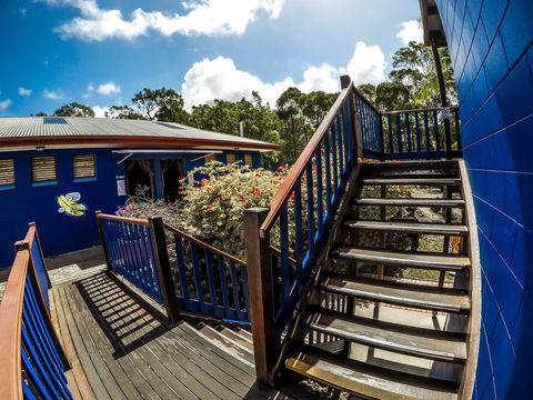 Cool Bananas Backpackers - Great Ocean Road Tourism 27
