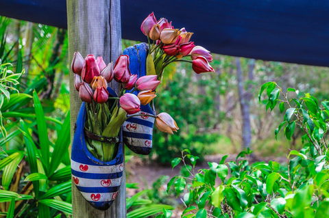 Cool Bananas Backpackers - Great Ocean Road Tourism 26