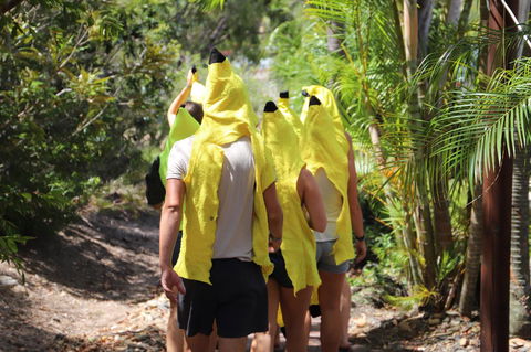 Cool Bananas Backpackers - Great Ocean Road Tourism 19