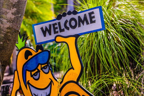 Cool Bananas Backpackers - Great Ocean Road Tourism 37