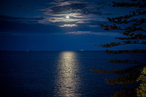 The Sebel Brisbane Margate Beach - Great Ocean Road Tourism 31