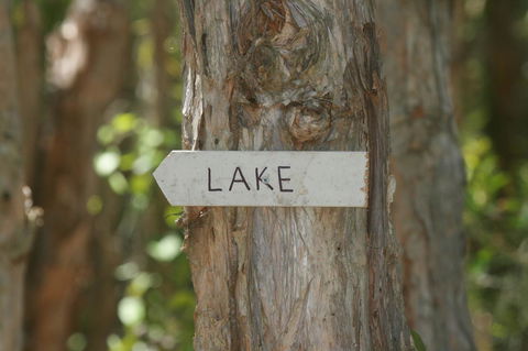 Lake Weyba Noosa Lodge & Kangaroos - Great Ocean Road Tourism 36