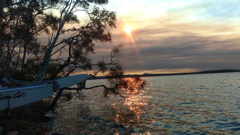 Lake Weyba Noosa Lodge & Kangaroos - Great Ocean Road Tourism 40