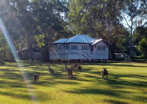 Lake Weyba Noosa Lodge & Kangaroos - Great Ocean Road Tourism 0