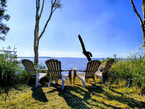Lake Weyba Noosa Lodge & Kangaroos - Great Ocean Road Tourism 44