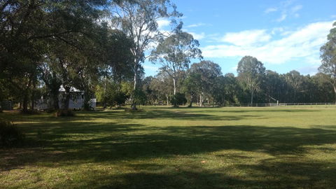 Lake Weyba Noosa Lodge & Kangaroos - Great Ocean Road Tourism 23