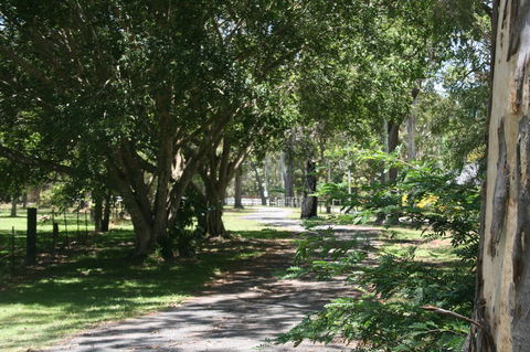 Lake Weyba Noosa Lodge & Kangaroos - Great Ocean Road Tourism 34