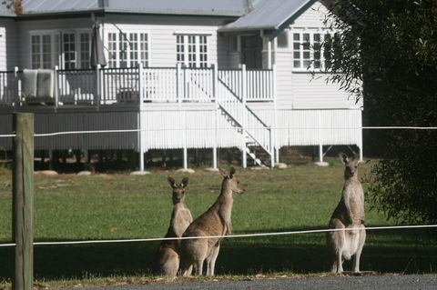 Lake Weyba Noosa Lodge & Kangaroos - Great Ocean Road Tourism 28