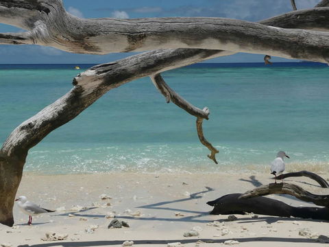 Beach Club Port Douglas Luxury Apartments - Great Ocean Road Tourism 23