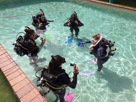 Backpackers In Paradise 18-35 Hostel - Great Ocean Road Tourism 18