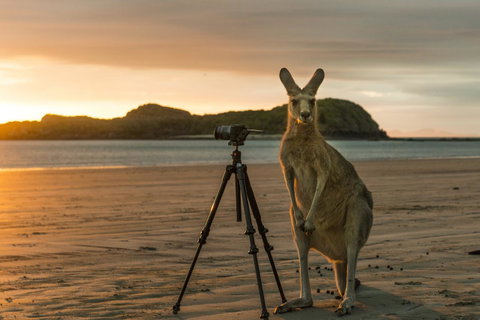 Riviera Mackay - Great Ocean Road Tourism 7