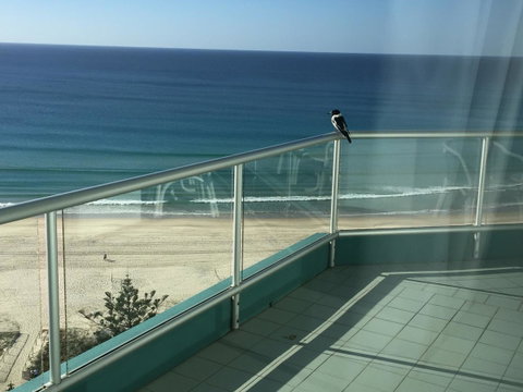Ocean Plaza Resort - Great Ocean Road Tourism 28