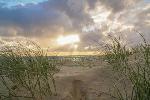 San Marino By The Sea Apartments - Great Ocean Road Tourism 21