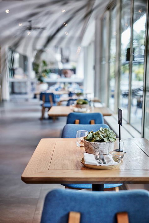 Novotel Cairns Oasis Resort - Great Ocean Road Tourism 19