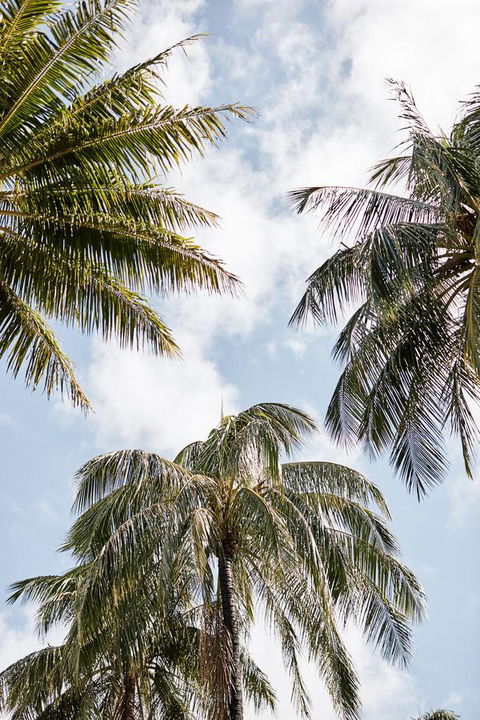 Novotel Cairns Oasis Resort - Great Ocean Road Tourism 9