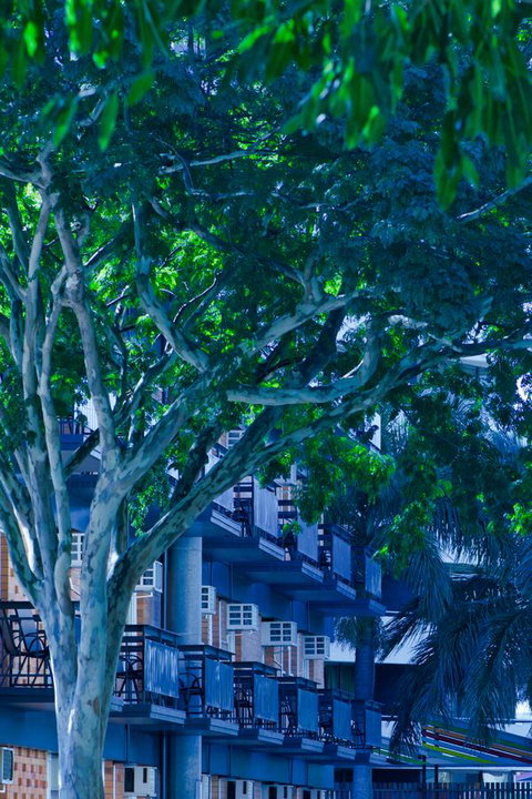 Soho Brisbane - Great Ocean Road Tourism 12