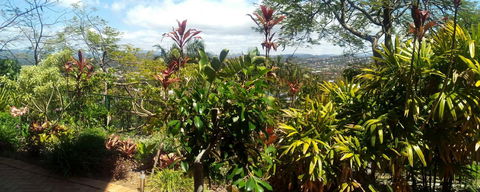 Private Guest Suite High On Currumbin Hill - Great Ocean Road Tourism 27