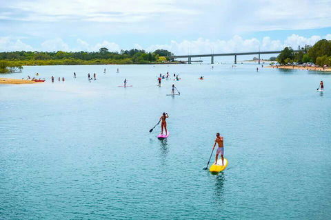 Private Guest Suite High On Currumbin Hill - Great Ocean Road Tourism 22