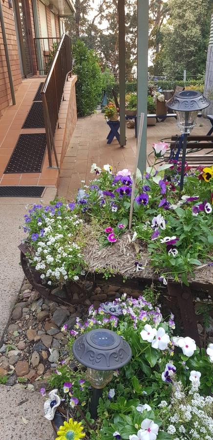 Manitzky Magic -B&B Home With Heart - Great Ocean Road Tourism 8