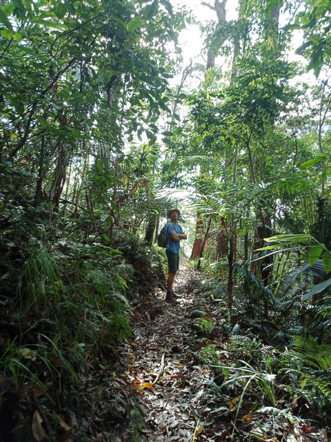 Manitzky Magic -B&B Home With Heart - Great Ocean Road Tourism 29