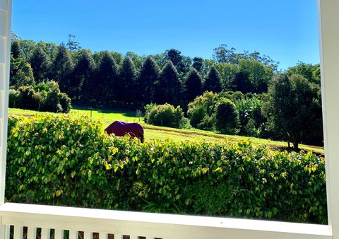 Hampton Estate Wines - Great Ocean Road Tourism 11