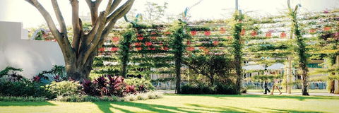 Vine Apartments South Brisbane - Great Ocean Road Tourism 19