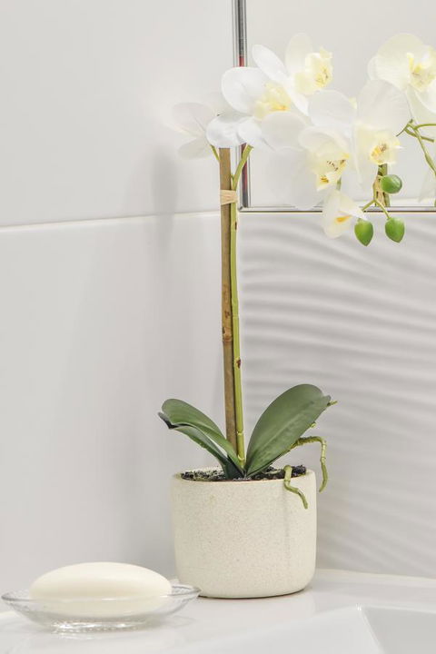 The Guesthouse Maleny - Great Ocean Road Tourism 32