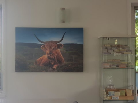 Highland House - Great Ocean Road Tourism 4