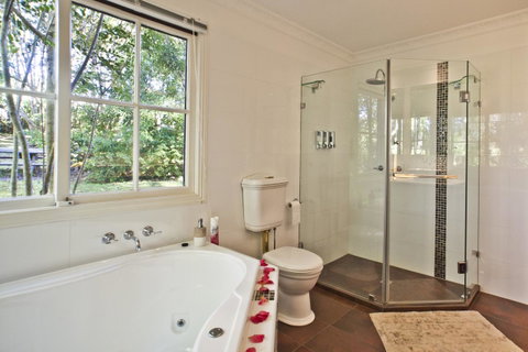 Curtis Falls Cottage - Great Ocean Road Tourism 4