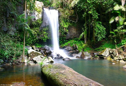 Curtis Falls Cottage - Great Ocean Road Tourism 22