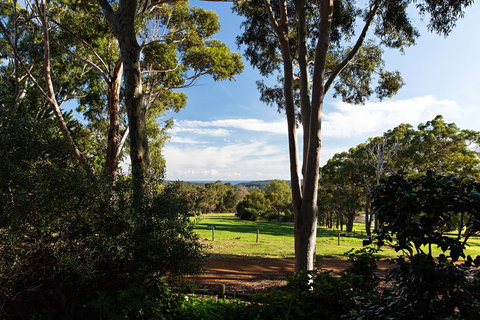 Wildwood Valley - Great Ocean Road Tourism 0