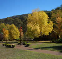 Willowlake Cottages - Great Ocean Road Tourism